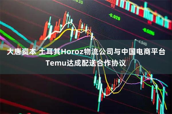大唐资本 土耳其Horoz物流公司与中国电商平台Temu达成配送合作协议
