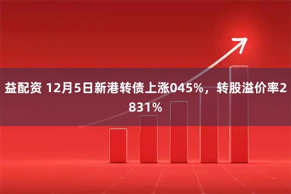 益配资 12月5日新港转债上涨045%，转股溢价率2831%