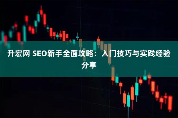 升宏网 SEO新手全面攻略：入门技巧与实践经验分享