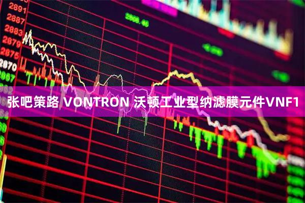 张吧策路 VONTRON 沃顿工业型纳滤膜元件VNF1